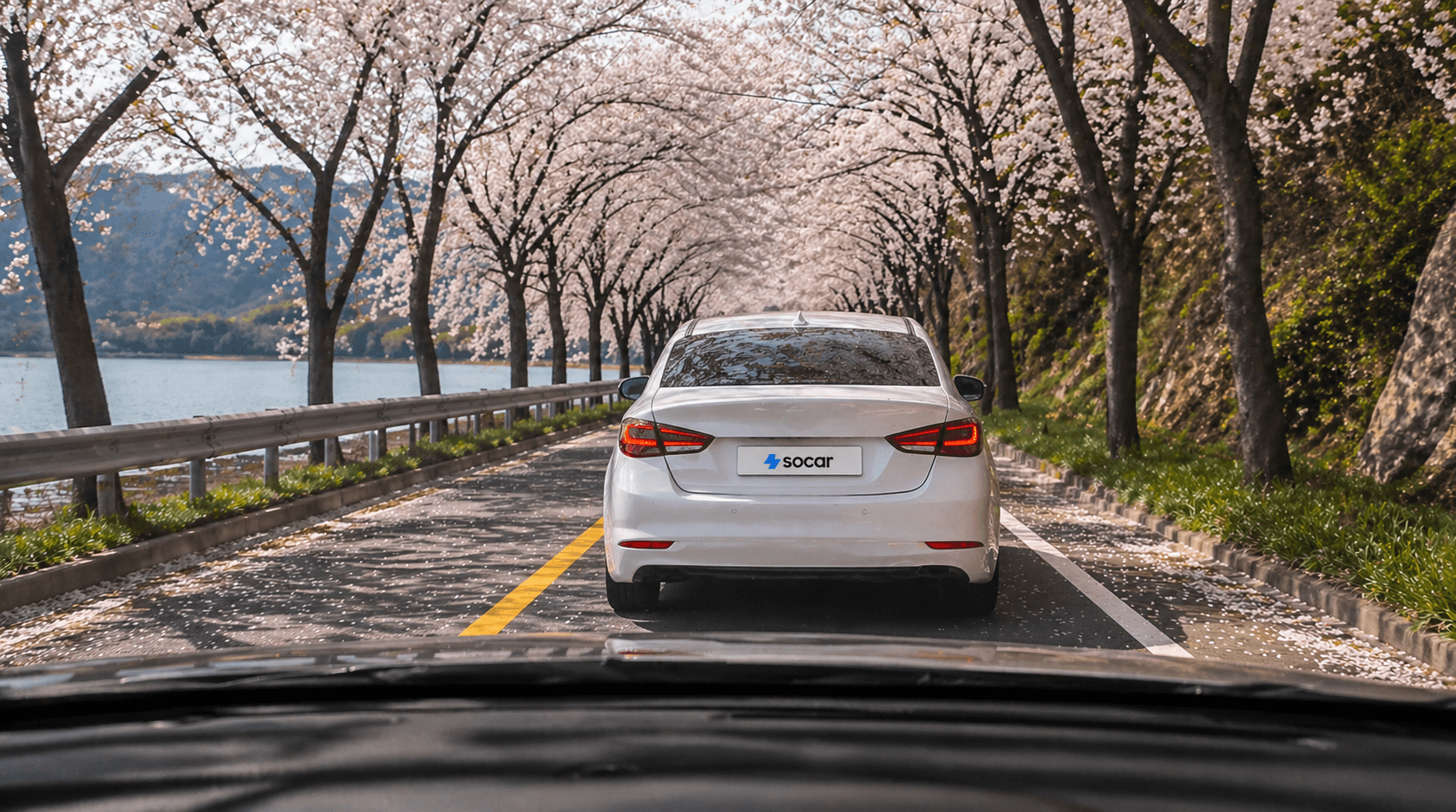 차 타고 갈 만한 전국 주요 봄나들이 명소(2026년 최신 버전)